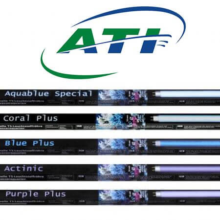 ATI T5 Buizen