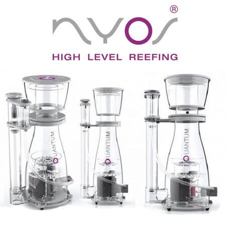 NYOS eiwitafschuimers