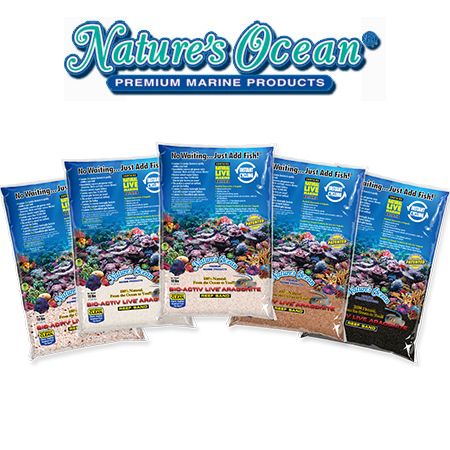 Natures Ocean Live Sand
