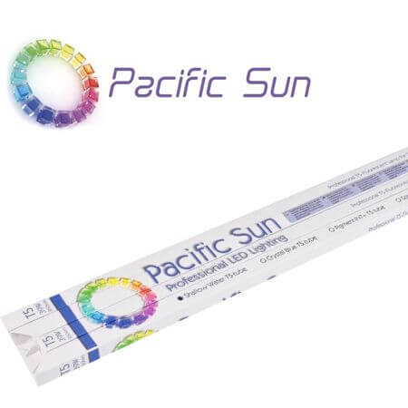 Pacific Sun T5 Buizen