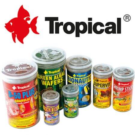 Tropical Visvoeders