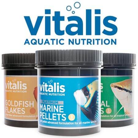 Vitalis Visvoeders