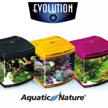 Aquatic Nature Evolution aquaria