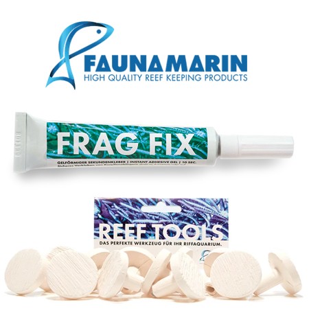 Fauna Marin stekstenen & tegels