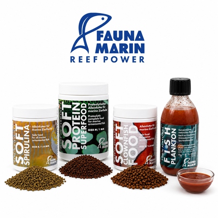 Fauna Marin Vis en koraalvoeding