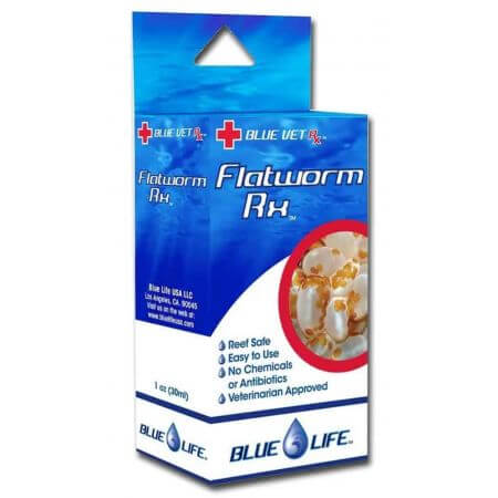 Blue Life Flatworm RX
