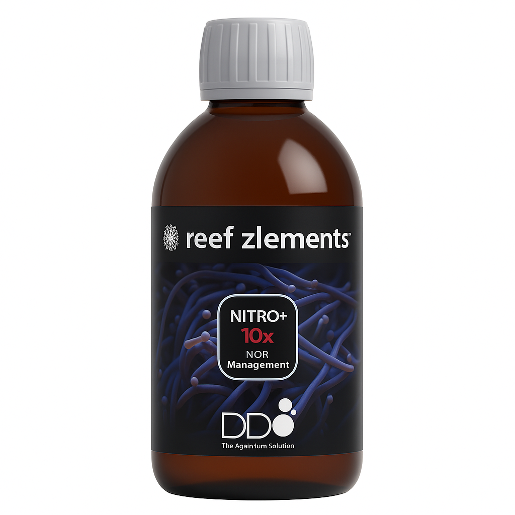 D-D Reef Zlements Nitro+ (x10) - 1 L