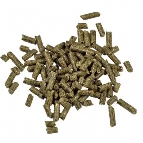 Dr. Bassleer BF SHRIMP STICKS CHLORELLA - 60 g