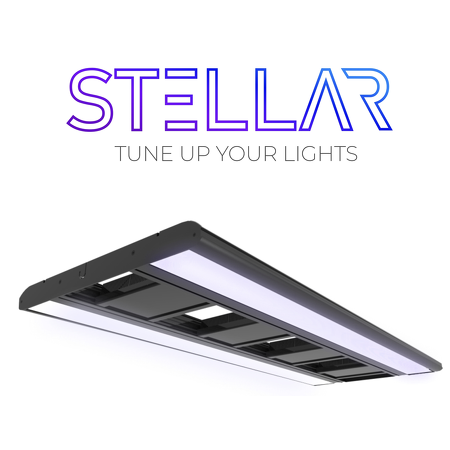 Giesemann Stellar LED marine - 1200 mm - irridium metalic
