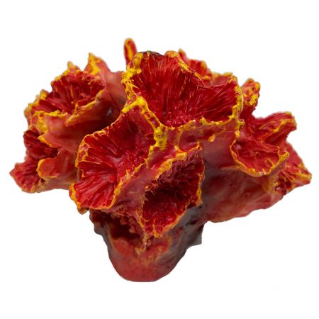 Kunstkoraal Lobo Rood / Geel