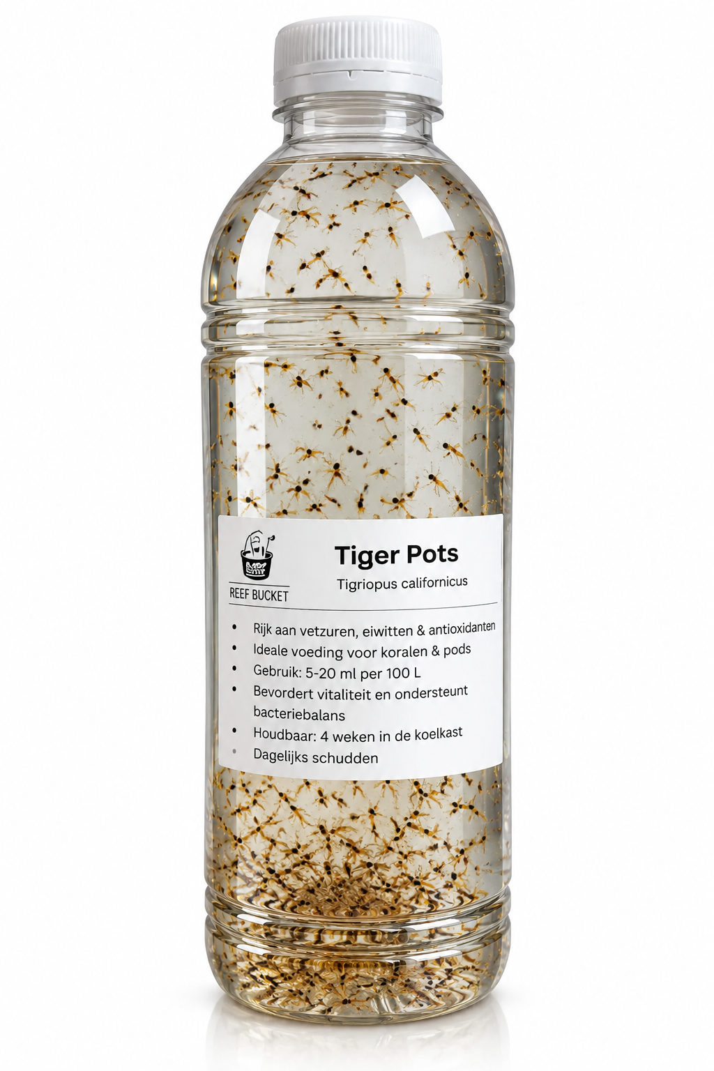 ReefBucket Tigriopus californicus | Levende Tigerpods (500 ml)