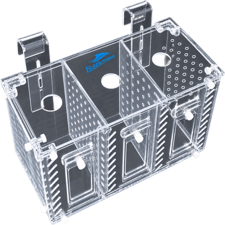 Bubble Magus Acclimation/Isolation box