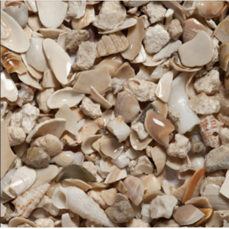 CaribSea Seaflor Aruba Puka Shell Fine 8,16 kg