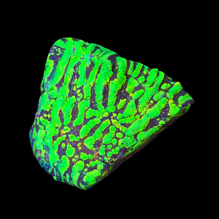 Chalice moonfire ridge Frag (Ong. 2-3 cm) WYSIWYG (1783884307683)