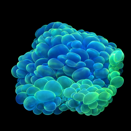  Plerogyra Sinuosa Ultra Crafted  WYSIWYG (1770755256246)