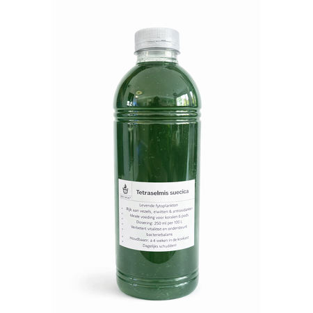 ReefBucket - Tetraselmis suecica - 500 ml