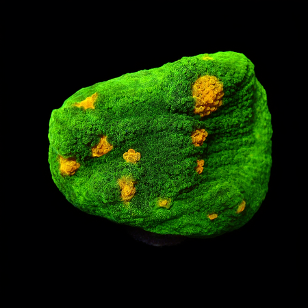 Space invaders Chalice Frag (Ong. 2-3 cm) WYSIWYG (1778573510239)